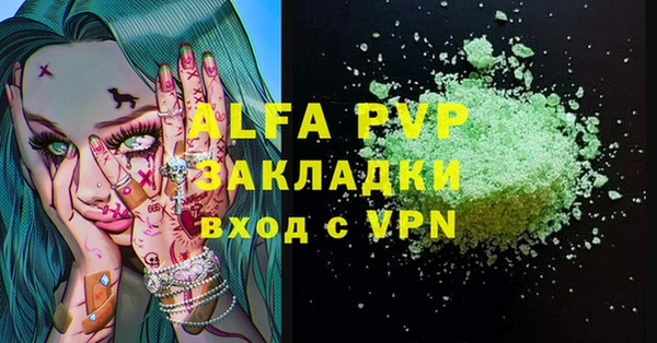 прущие грибы Богданович