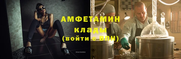прущие грибы Богданович