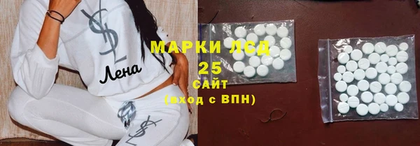 прущие грибы Богданович