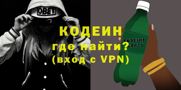 прущие грибы Богданович