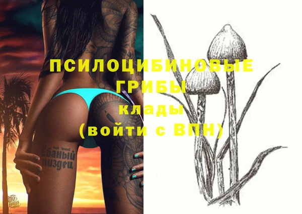 a pvp Бронницы