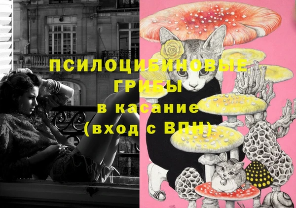 прущие грибы Богданович