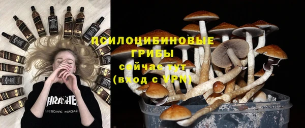мяу мяу мука Богородицк