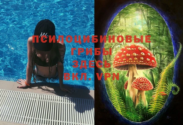 прущие грибы Богданович