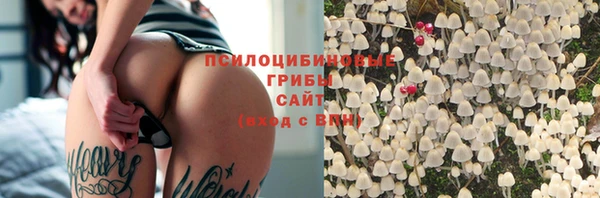 прущие грибы Богданович