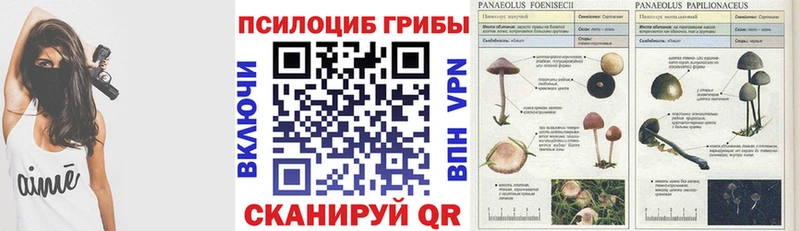 Псилоцибиновые грибы GOLDEN TEACHER Межгорье
